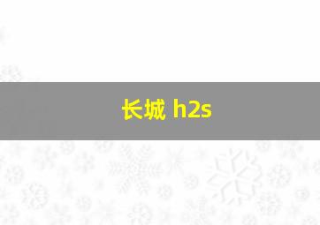 长城 h2s